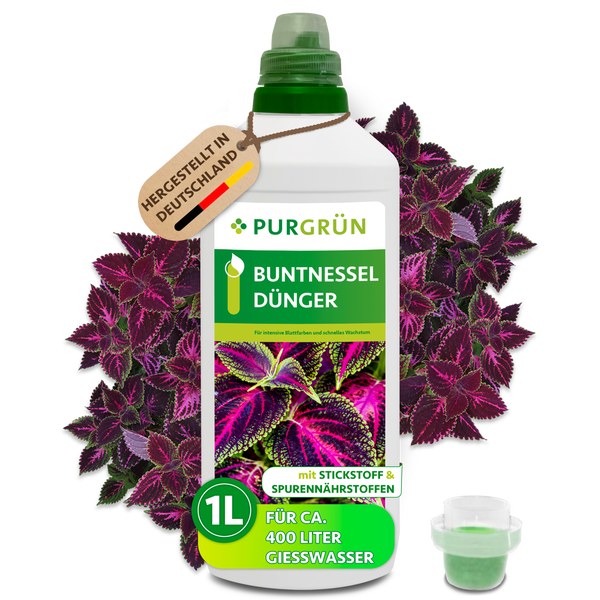 Japanischer Sagopalmfarn Cycas revoluta in grauen und terrakottafarbenen Pflanztöpfen in einer Gärtnerei.