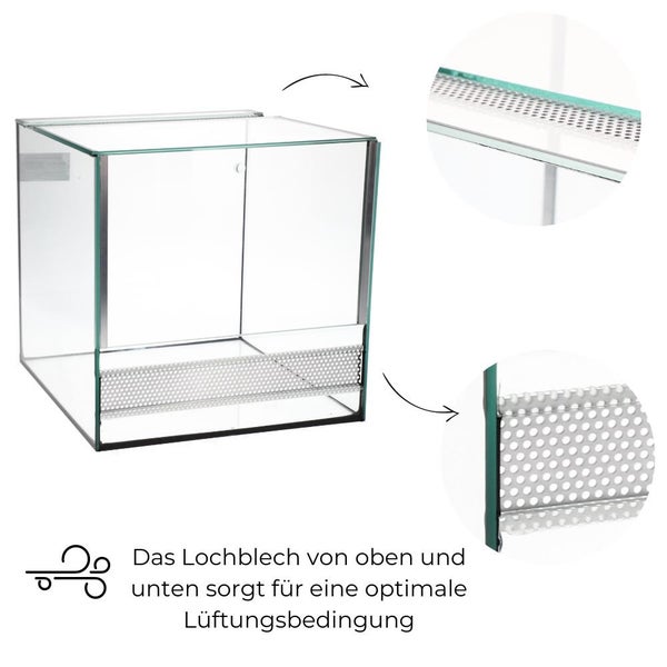GarPet Glas Terrarium 30x30x30 cm Viviarium Pflanzen Terrarium Reptilien Amphibien Spinnen Glasterrarium mit Alu Belüftung Falltür