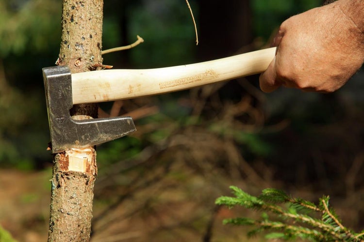 Krumpholz, Gartenbeil mit Hickory-Kuhfuß-Stiel