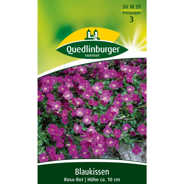 Blaukissen Rosa-rot Samen von Quedlinburger SAATGUT
