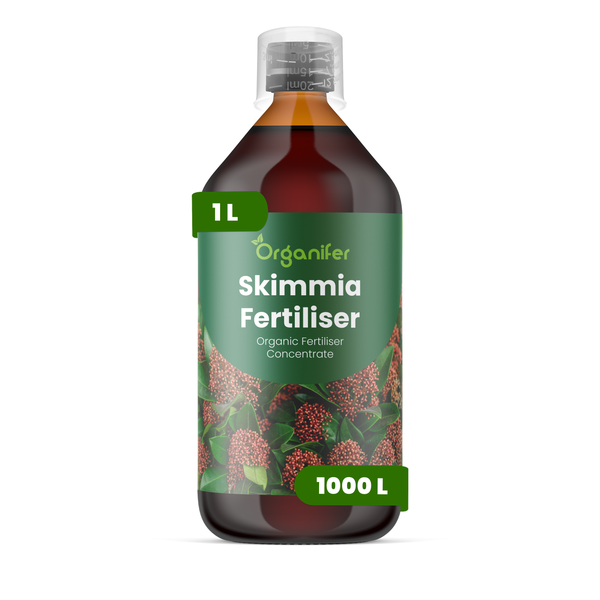 Organifer Skimmia Dünger, organisches Düngerkonzentrat, 1 Liter für 1000 Liter.