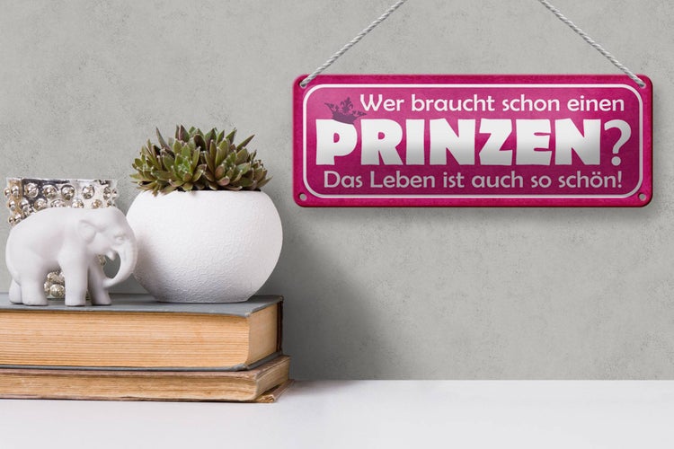 Blechschild Spruch 27x10cm wer braucht schon einen Prinzen Dekoration
