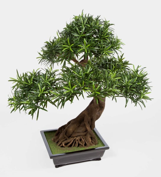 Künstlicher Bonsai im schwarzen Topf mit strukturiertem Stamm und dichtem grünen Blattwerk.