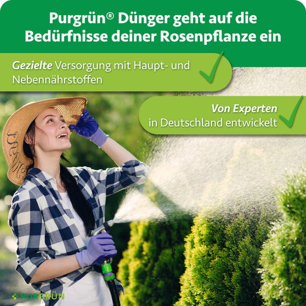 Eine junge Frau mit Gartenhut gießt Rosenpflanzen im Garten, begleitet von Informationen zum Purgrün Rosendünger für eine gezielte Nährstoffzufuhr.