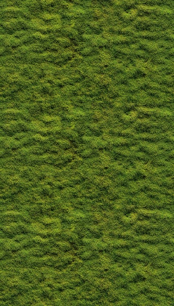 Strukturierte grüne Moosoberfläche für dekorative Zwecke oder Modellbau.
