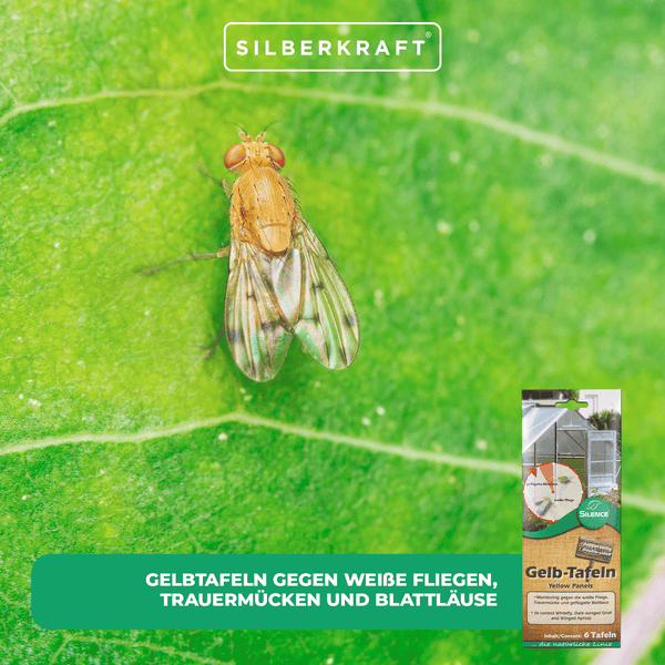 Silence Gelbtafeln – Effektive Klebefallen gegen fliegende Schädlinge – Für Zimmerpflanzen, Balkon, Wintergarten & Gewächshaus – Beidseitig klebend & tropffrei