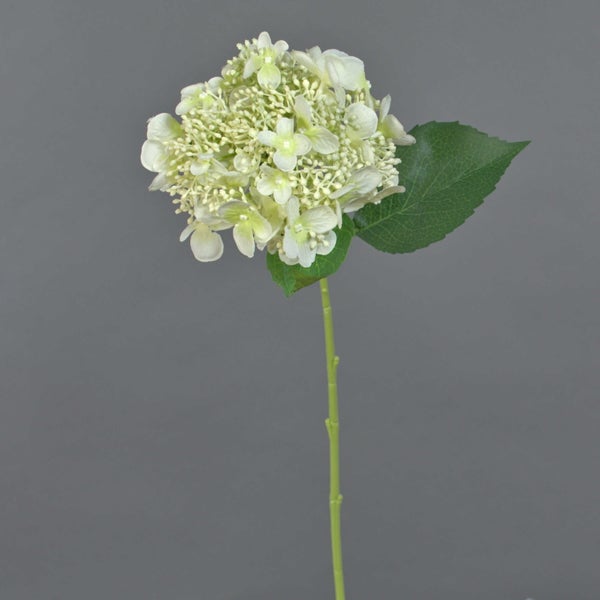 Künstliche Hortensie mit weißer Blüte und grünem Blatt am Stiel.