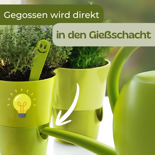 Dekorative Lampe mit schwarzem Metallgestell
