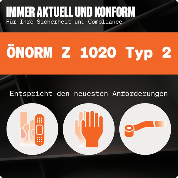 Erste Hilfe Nachfüllset ÖNORM Z1020 Typ2 inkl. Erste Hilfe Anleitung - Verbandskasten Nachfüllset Ö-NORM Z 1020 Typ 2 mit praktischen Innentaschen - ÖNORM Z1020 Typ2 Nachfüllset für Betriebe