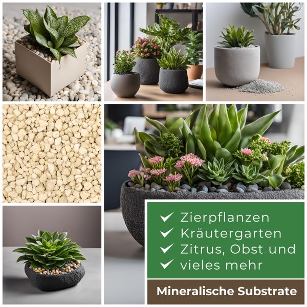 Blusana Bims & Lava Flüssigdünger NPK 10-4-6 Spezialdünger für mineralische Pflanzsubstrate und Gestein 1l Pflanzendünger für Grünpflanzen Kräuter Obst Gemüse Hydrokultur