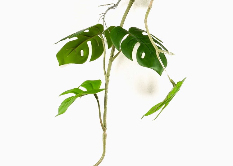 Künstlicher Monstera-Zweig mit gelochten Blättern und Luftwurzeln.