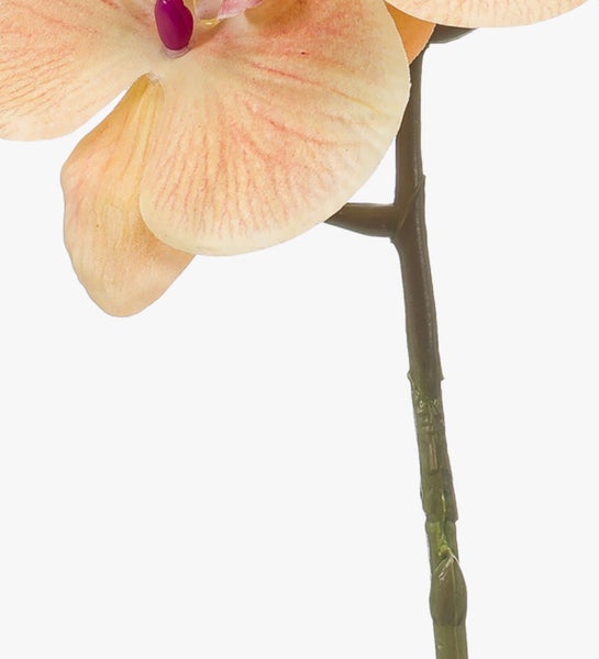Künstliche Orchidee am Stiel mit detailgetreuer Blüte und Stängel.