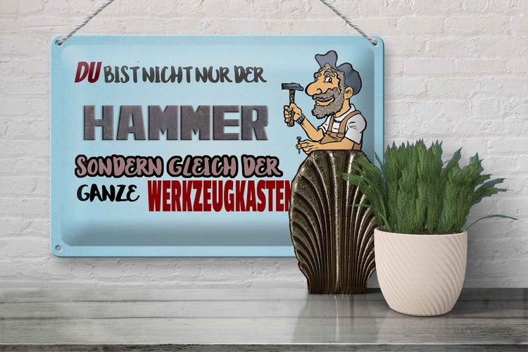 Blechschild Spruch 30x20cm du Bist nicht nur der Hammer