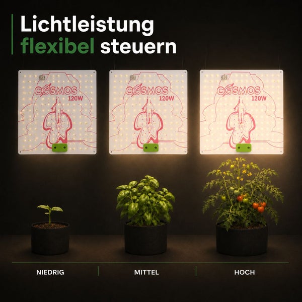 Drei Vanguard Hydroponics Cosmos 120W LED Pflanzenlampen über Pflanzen mit niedriger, mittlerer und hoher Lichtintensität.