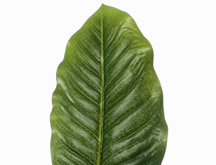 Künstliche Gummibaum-Pflanze mit großen grünen Blättern aus Kunststoff.