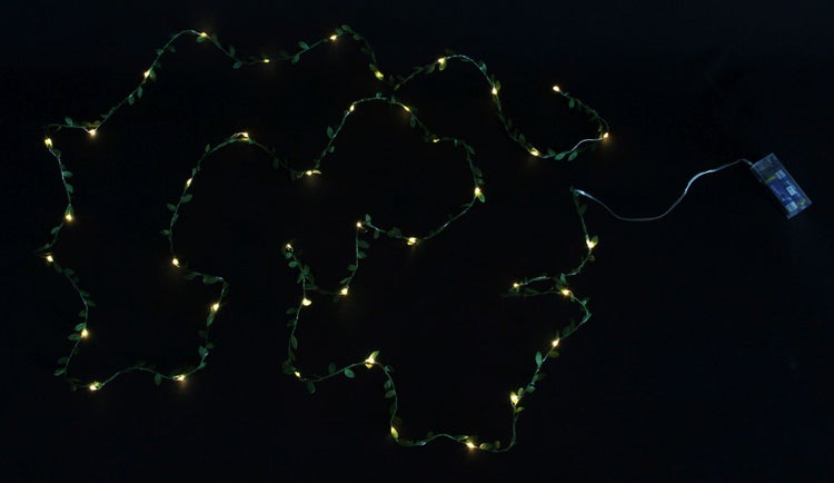 FRANK FLECHTWAREN | LED-Lichterkette Buchs, KUNSTSTOFF, Länge 4 Meter, ohne Batterien, nur für den Innenbereich geeignet