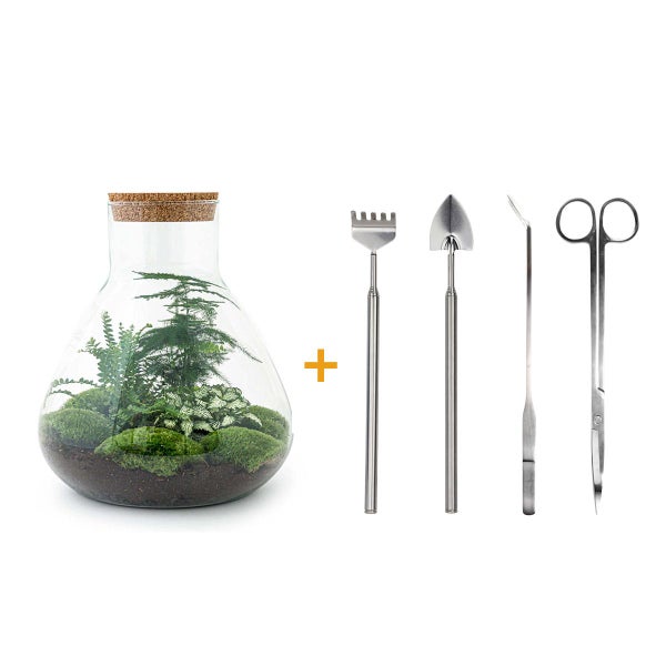 Flaschengarten Sam XL - DIY-Pflanzenterrarium - 35cm - incl. Rechen, Schaufel, Pinzette und Schere