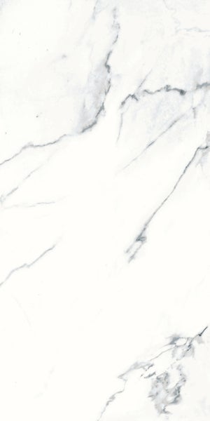 Feinsteinzeug Wand- und Bodenfliese Cararra Weiß 30 x 60 x 1 cm glasiert matt