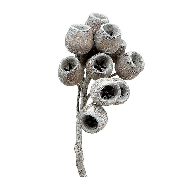 Dekorativer Eukalyptuszweig für Innendekoration