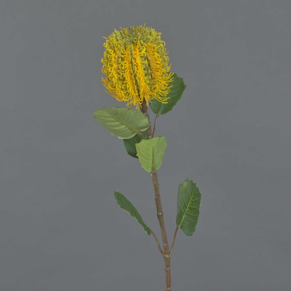 Künstliche Banksia-Blüte mit gelben Filamenten, grünen Blättern und braunem Stiel.