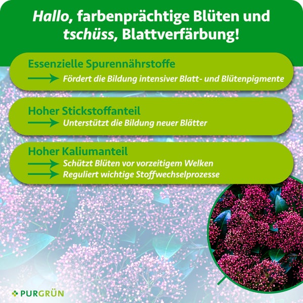 Infografik für PURGRÜN Pflanzendünger mit Informationen zu Spurennährstoffen, Stickstoff- und Kaliumanteil für gesundes Pflanzenwachstum.