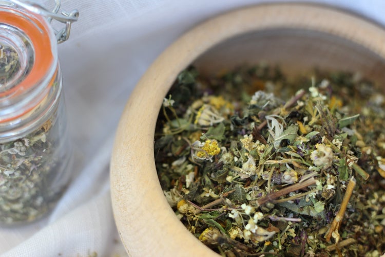 SAFLAX  - Wermut - Artemisia absinthum - 500 Samen - Mit keimfreiem Anzuchtsubstrat