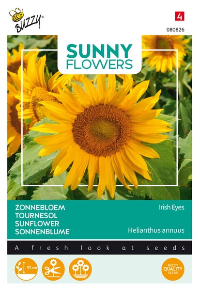 Buzzy Sunny Flowers Sonnenblumen-Samenpackung