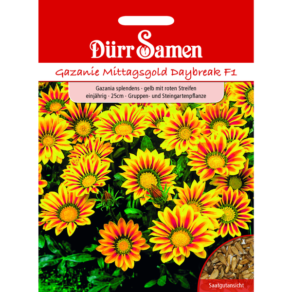 Gazania Daybreak Red Stripe F1 einjährig Saatgut von Dürr Samen