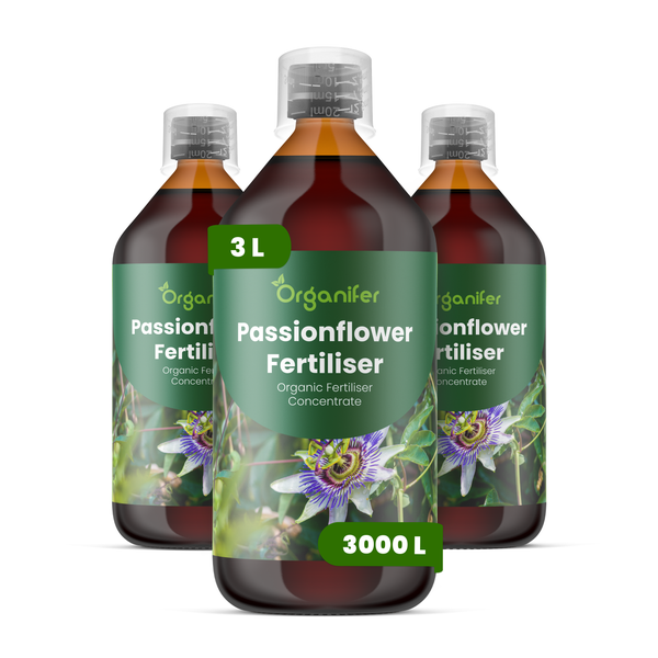 Organifer Passionsblumen-Dünger, organisches Düngerkonzentrat, drei 1-Liter-Flaschen mit Messkappe.