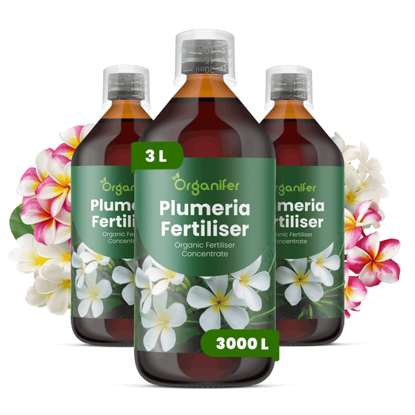 Drei Flaschen Organifer Plumeria Dünger, organisches Düngerkonzentrat, 3 Liter Gesamtmenge für 3000 Liter Düngerlösung.
