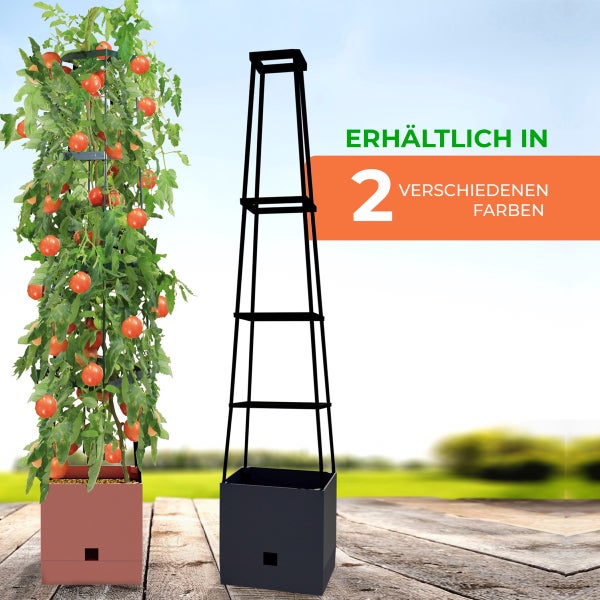 Pflanzturm mit integrierter Rankhilfe für Kletterpflanzen wie Tomaten, erhältlich in zwei verschiedenen Farben.