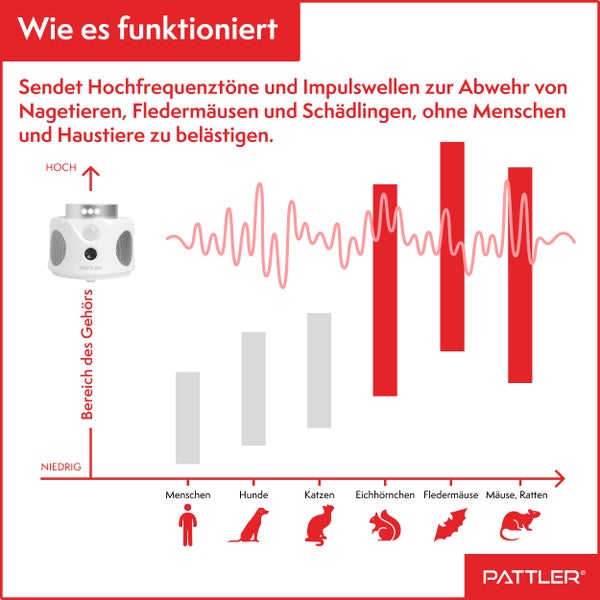 PATTLER® - 360° Ultraschall Mäuseabwehr - Effektiv Mäuse vertreiben mit Ultraschallwellen - optimiert für die Abwehr von Mäusen und Ratten