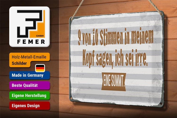 Blechschild Spruch 30x20cm 9 von 10 Stimmen in meinem Kopf