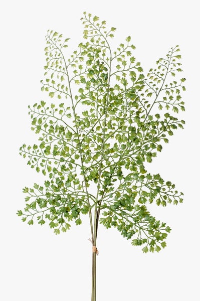 Künstlicher Farnzweig mit feinen grünen Blättern für die Dekoration.
