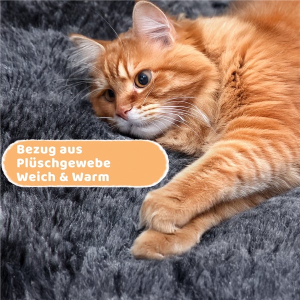 Katze ruht auf einem weichen Plüschbezug