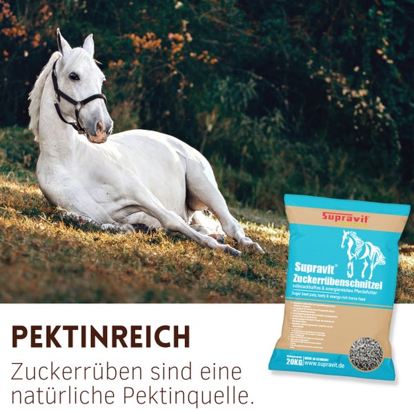 Ein weißes Pferd liegt auf einer Wiese neben einer Packung Supravit Zuckerrübenschnitzel Pferdefutter.