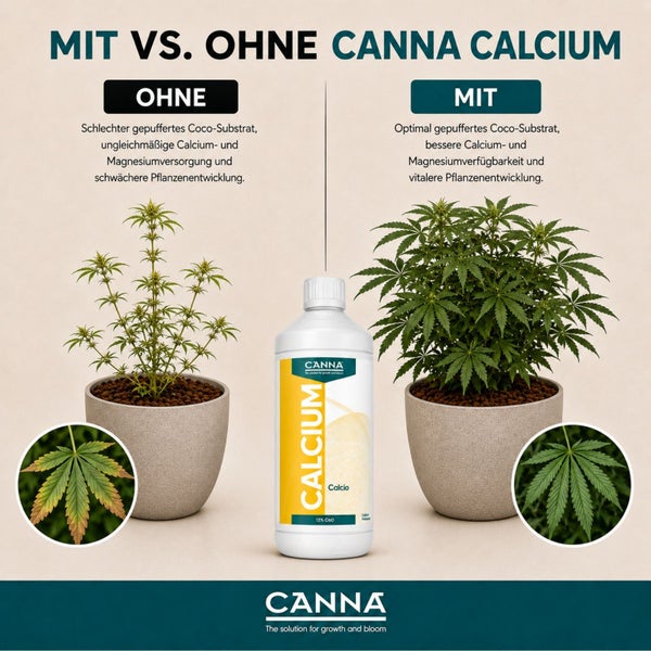 Vergleichsgrafik zu Canna Calcium mit Pflanzendarstellung zur Verdeutlichung der Wirkung auf Coco Substrat bei Pflanzenwachstum.