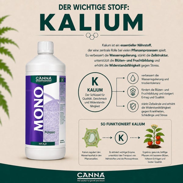 Canna Mono Kalium Dünger Flasche mit Infografik zu Nährstoffvorteilen, Wirkungsweise und Bedeutung von Kalium für das Pflanzenwachstum.