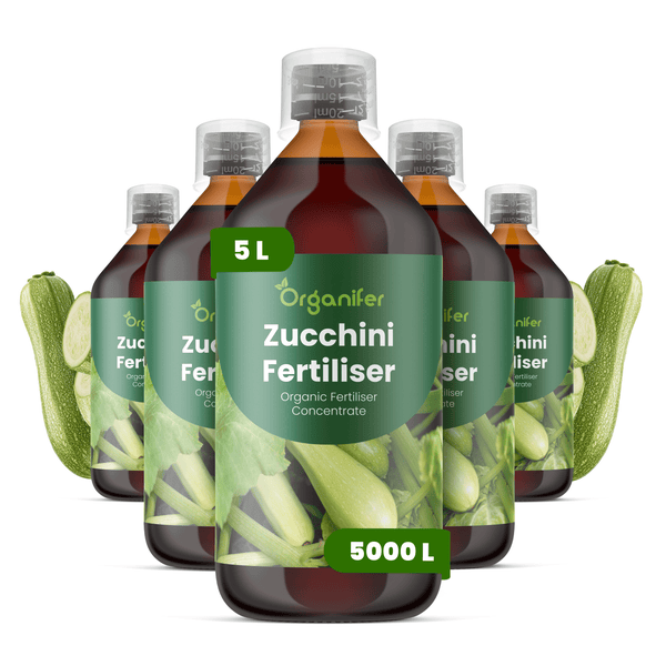 Organifer Zucchini-Dünger, organisches Düngerkonzentrat, 5 Liter Flasche für 5000 Liter Düngerlösung.