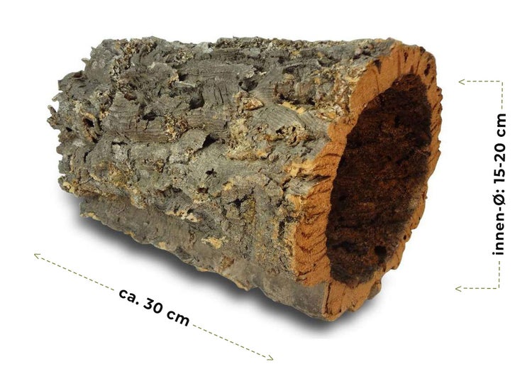 Korkröhre aus Naturkork, Länge circa 30 Zentimeter, Innendurchmesser 15 bis 20 Zentimeter.
