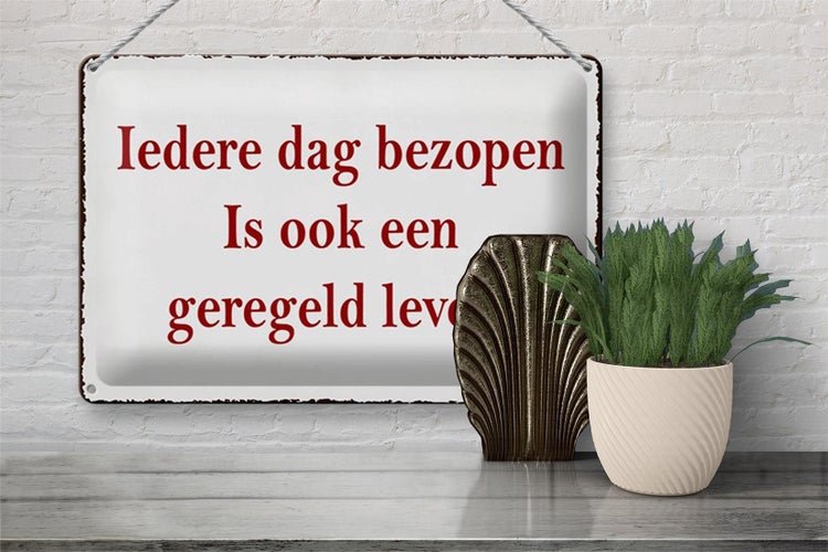 Blechschild Spruch 30x20cm ledere dag bezopen is ook een geregeld leven