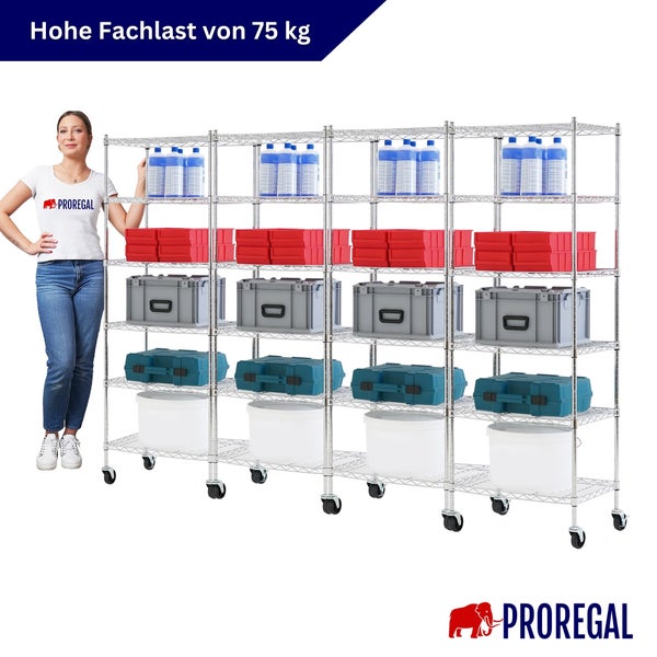 Drahtregal auf Rollen mit fünf Ebenen, hohe Fachlast von 75 Kilogramm, Proregal Logo.