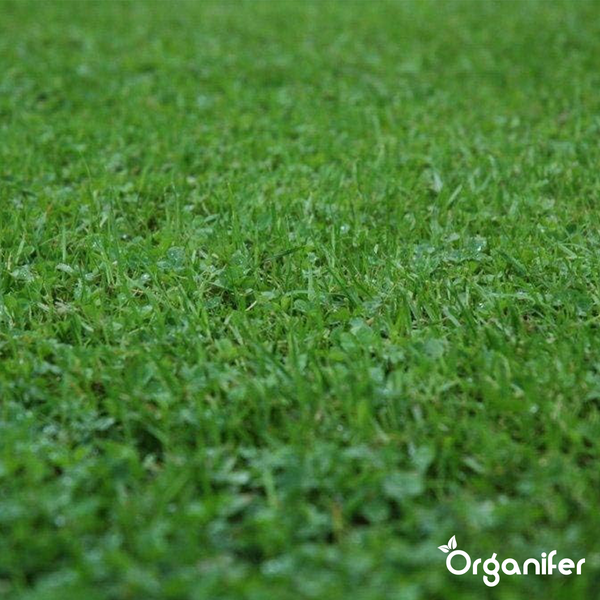 Gartensitzbank mit zwei grauen Kissen