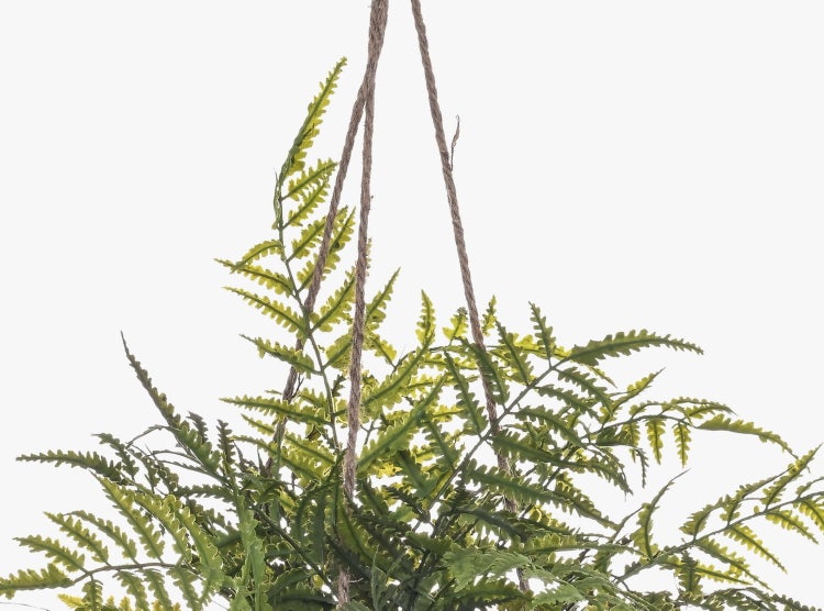Künstliche grüne Farnpflanze in einer Aufhängung aus Naturseil.