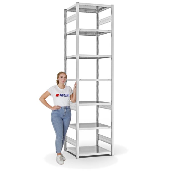 PROREGAL Fachbodenregal Stecksystem T-Profil Medium-Duty Grundregal HxBxT 300 x 75 x 60 cm 7 Ebenen Fachlast 240 kg Beidseitig Nutzbar Lichtgrau