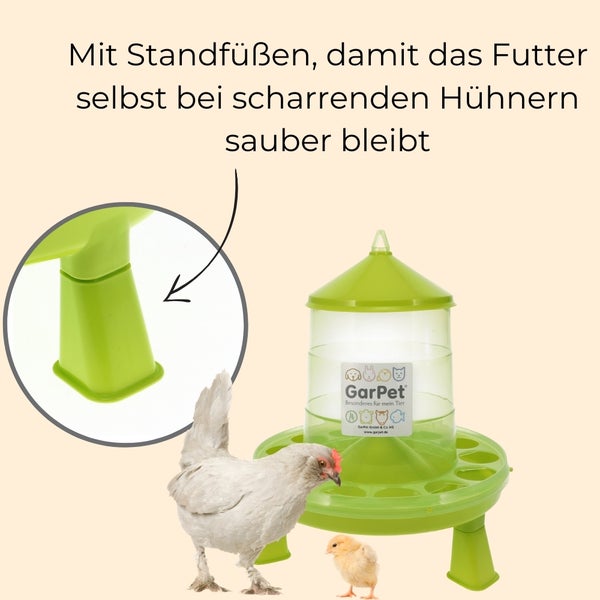 Grüne Futterstation für Hühner mit Hühnern