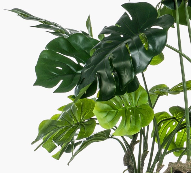 Künstliche Monstera-Pflanze mit charakteristisch gelochten grünen Blättern und Kunststoffstielen.