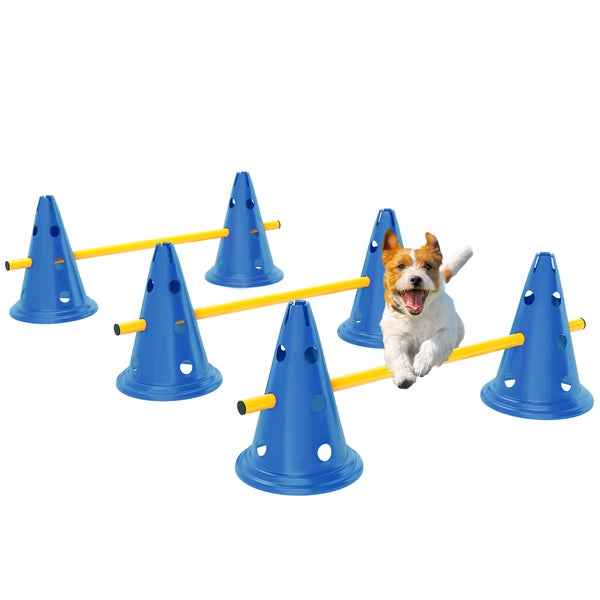 Agility-Set für Hunde mit blauen Kunststoffpylonen und gelben Hürdenstangen, ein kleiner Hund springt über ein Hindernis.