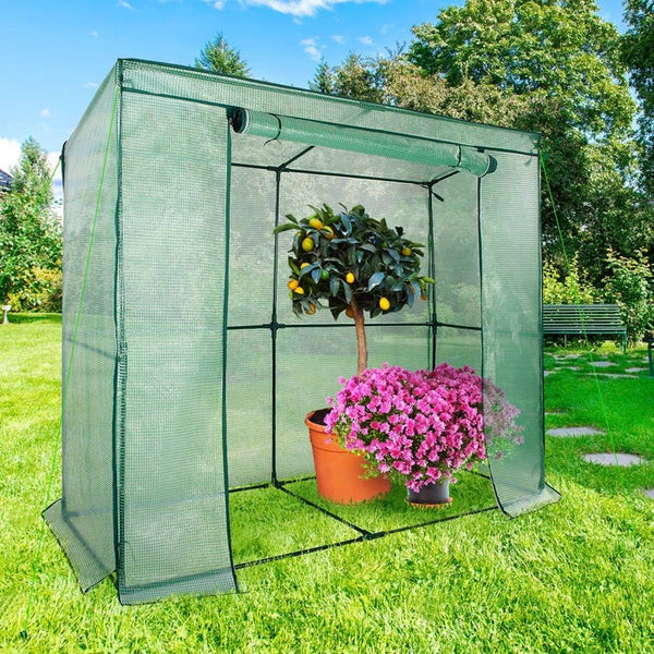 FLOORDIREKT Gewächshaus Botanika - Extra geräumig - 1,6 m² - Für besonders hohe Pflanzen