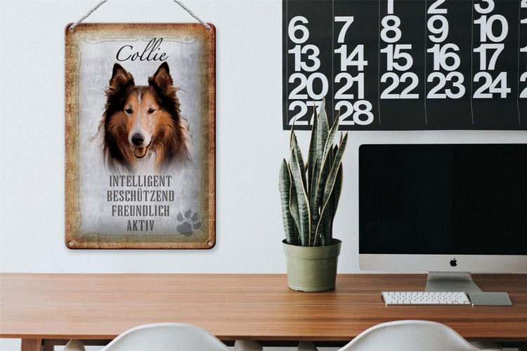Blechschild Spruch 20x30cm Collie Hund freundlich Schild